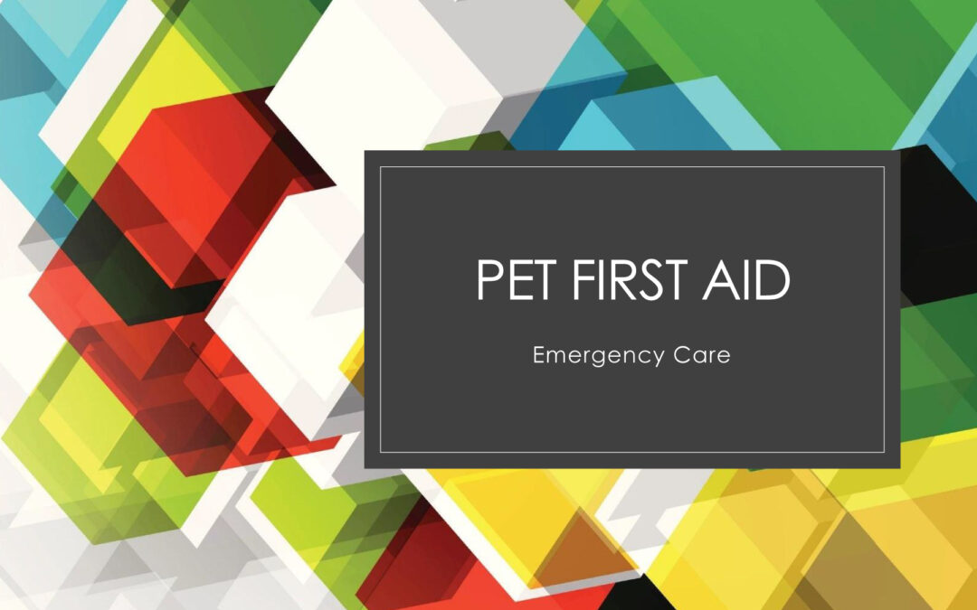 Pet First Aid