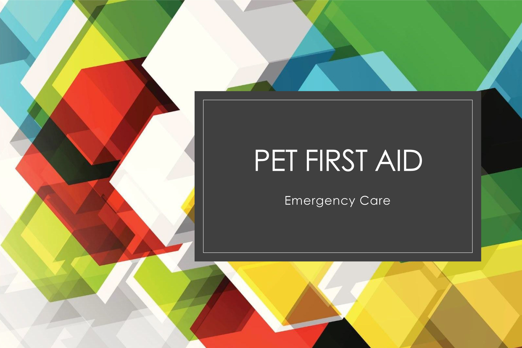 Pet First Aid
